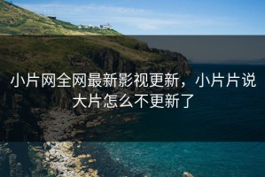 小片网全网最新影视更新，小片片说大片怎么不更新了