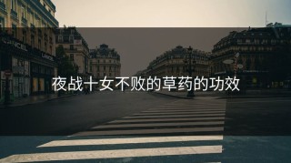夜战十女不败的草药的功效