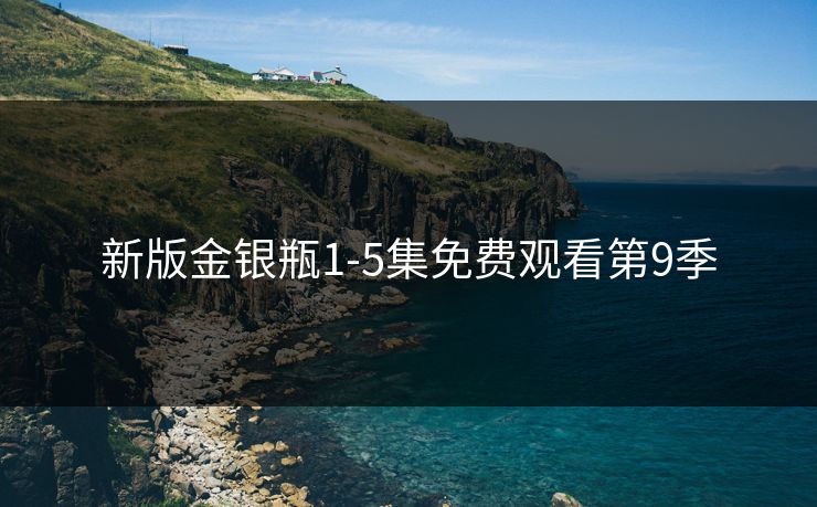 新版金银瓶1-5集免费观看第9季